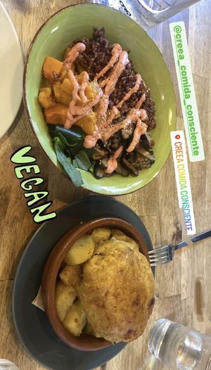   at CReeA in Tarragona