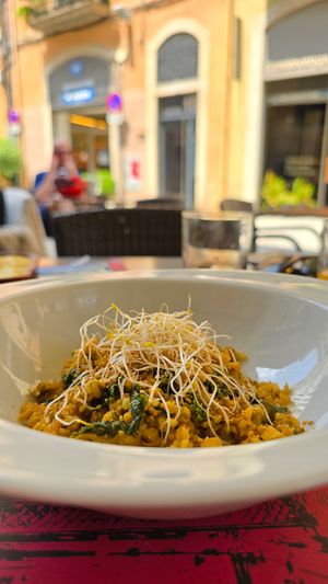 Main dish of the day at B12 in Girona