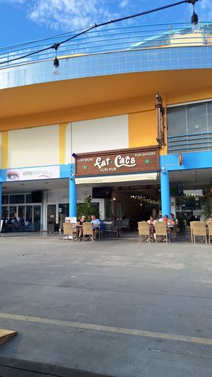  at Fat Cats in Albufeira