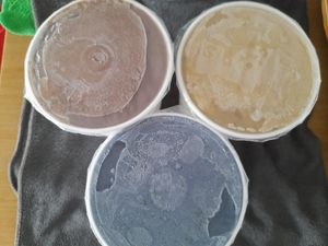  at Kind Kones - Forum in Central Singapore