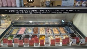 Fully vegan ice-cream selection at Kind Kones - Forum in Central Singapore