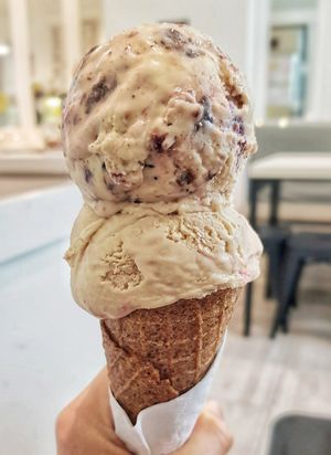 Kind kones at Kind Kones - Forum in Central Singapore