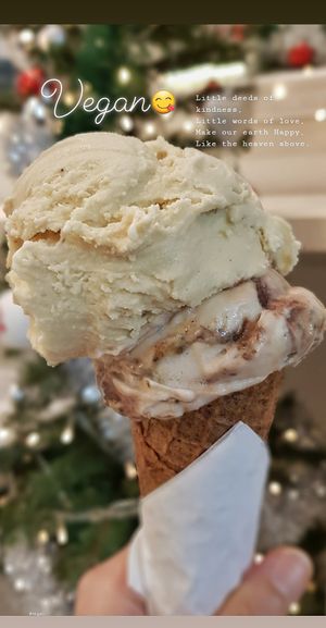 Kind kones at Kind Kones - Forum in Central Singapore