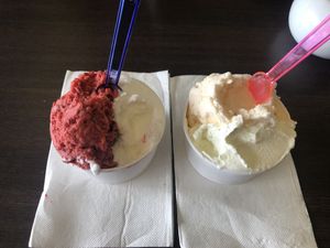 L-R: mixed berry, lemon, green apple and pineapple and passionfruit  at The Looking Glass in Llandudno