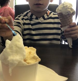 Vegan ice cream!! Apple flavour in cone, Lemon & mango in tub.  at The Looking Glass in Llandudno