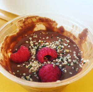 Creamy, delicious Belgian chocolate pudding up made from coconut milk and hemp hearts ! at Animal Liberation Kitchen in Toronto