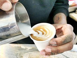 Bear's Magic Expresso Skills at Animal Liberation Kitchen in Toronto