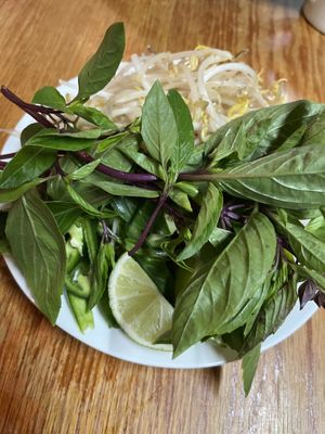 Bean sprouts, lime, jalapeños and herbs  at Pho Today in Jacksonville