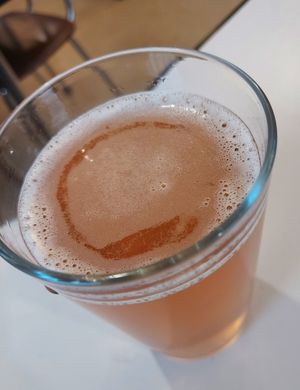 Kombucha at Eaternia in Prague