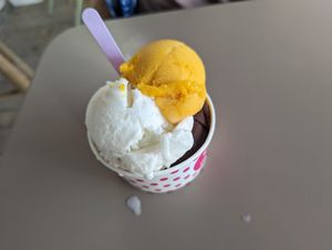 Chocolate, Mango and Yatra (Japanese citrus) sorbet at Papilla Artisan Glacier in Cannes