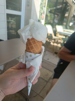 Organic lemon sorbet at Papilla Artisan Glacier in Cannes