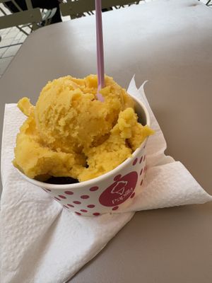   at Papilla Artisan Glacier in Cannes