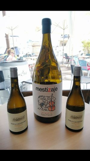 Organic Beers & Wines at Cielo in Murcia