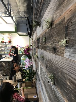 Living wall at Vinh Loi Tofu in Cerritos