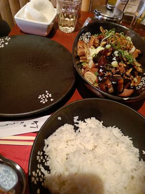 Vegan duck with hoi sin sauce and rice at Saigon in Utrecht