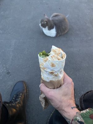   at Muhudo Falafel Shop in Tbilisi