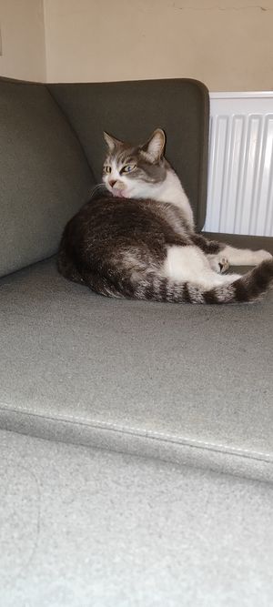 #Veganuary at Muhudo Falafel Shop in Tbilisi