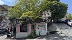   at Muhudo Falafel Shop in Tbilisi