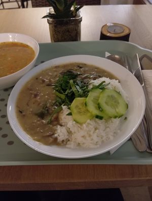 Rice with sauce and mushrooms #Veganuary at Diva Hliva in Sumperk