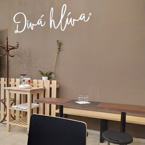 Diva hliva inside at Diva Hliva in Sumperk