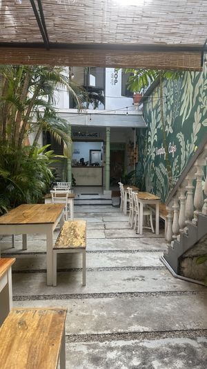   at Dumplings Cafe in Galle