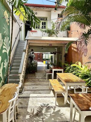 Interior   at Dumplings Cafe in Galle