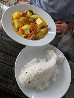 Veg curry, not too hot, in creamy coconut sauce. Cute rice, lol at Le's Garden Bar in Hue