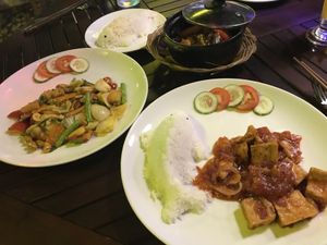 Aubergine clay pot, vegetables and cashew nuts and tofu in tomato sauce  at Le's Garden Bar in Hue
