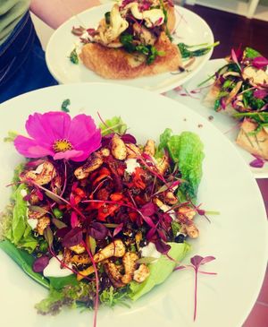 Seasonal salad bowls at The Courtyard in Looe