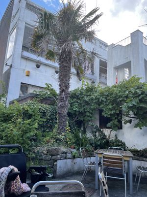   at The Courtyard in Looe