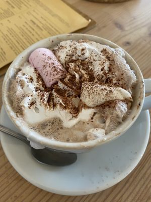   at The Courtyard in Looe