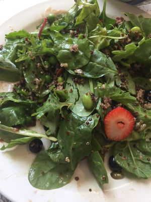 Berry Power Salad🍓It was delicious!! at The Red Bird Cafe in Roslyn