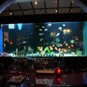 View within bar area. at Soy and Sake Village in New York City