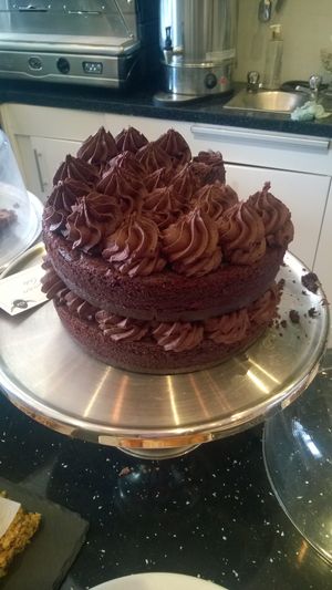 Vegan chocolate cake at The Nest in Gateshead