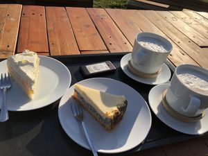 Left one:  Vegan raw cake with mango and coconut  at Primesurf Fehmarn in Fehmarn