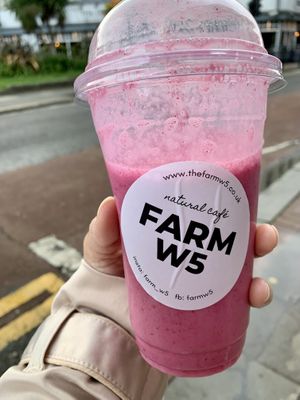 Farm W5 - Pink Flamingo  at Farm W5 in West London