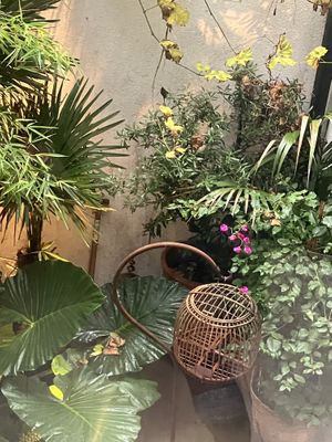 Uitzicht vanuit appartement van Charlie’s  at Charlie's in Antwerpen