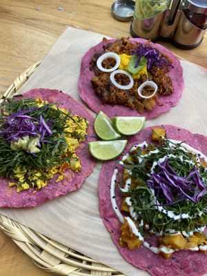 Mia favoritos fueron los de machaca at La Pitahaya Vegana - Mercado del Carmen San Ángel in Mexico City