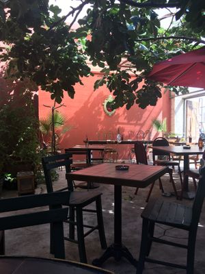 Nice garden at Bordo Bina in Canakkale