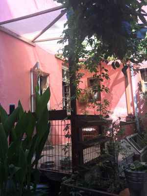 Claret red at Bordo Bina in Canakkale