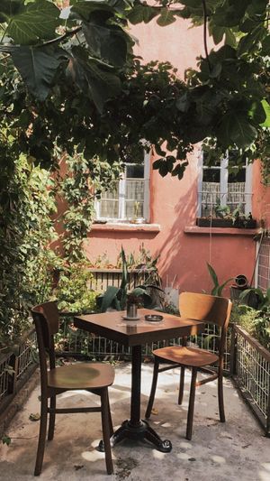   at Bordo Bina in Canakkale