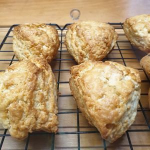 vegan scones at Bottle Lounge 보틀팩토리 in Seoul