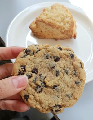 vegan cookie (new) at Bottle Lounge 보틀팩토리 in Seoul