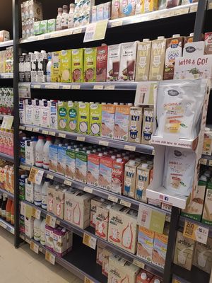 Plant 🥛 at Veritas in Madrid