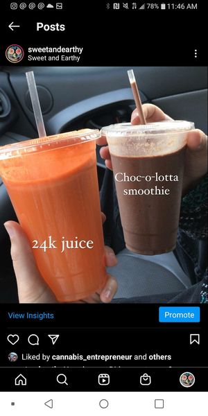 Both vegan at Sweet & Earthy in Raynham