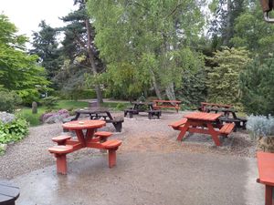 Outside seating at Phoenix Café in Findhorn