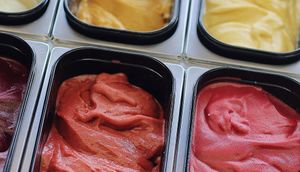 Homemade organic and vegan ice-creams at Psychédélice in Saint-julien-en-born