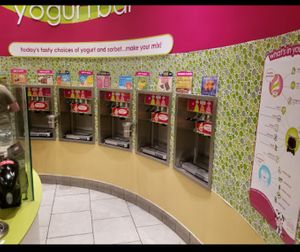 FroYo at Menchie's Frozen Yogurt in Allen