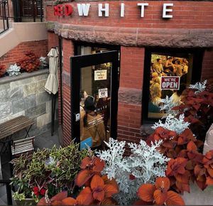  at REDWHITE BONELESS RAMEN - Boston in Boston