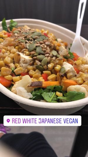 Humble bowl at REDWHITE BONELESS RAMEN - Boston in Boston